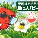 受粉はハチだけじゃない・助っ人「ビーフライ」の見出しと、いちごの花のビーフライを見守るいちご博士とオアシスくん